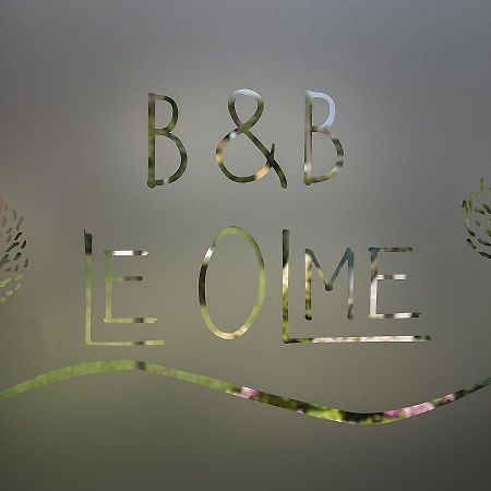 B&B Le Olme Мольяно-Венето Екстер'єр фото